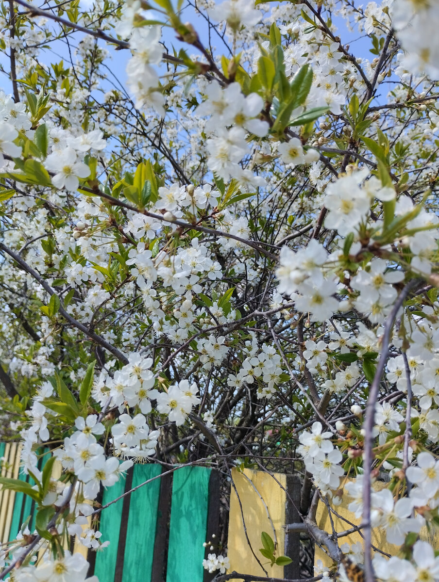 Фото автора