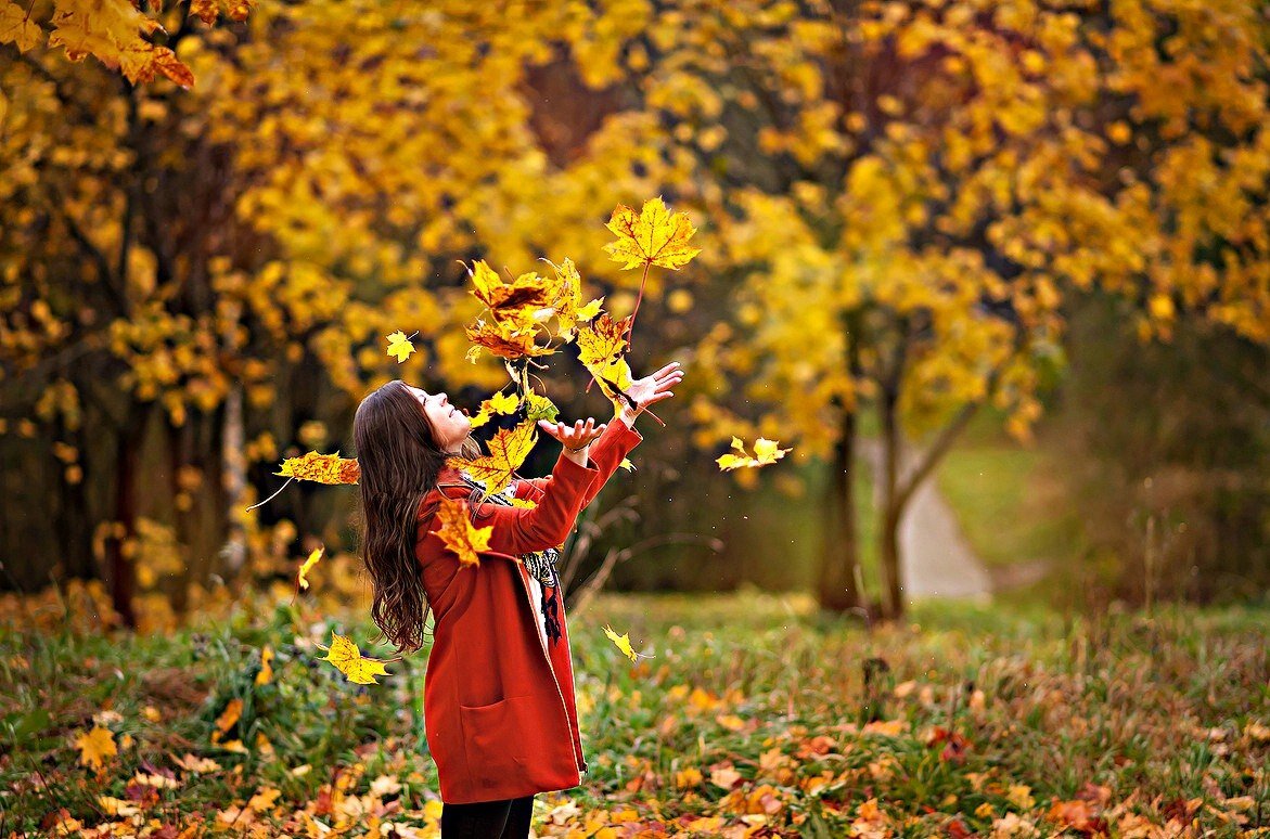 Изображение из открытых источников