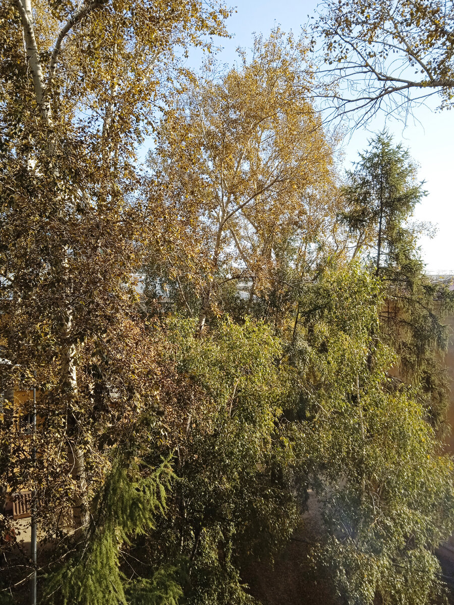 Сегодня мой вид из окна