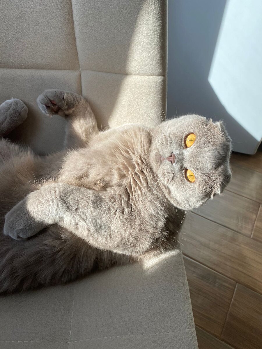 Сказочник
