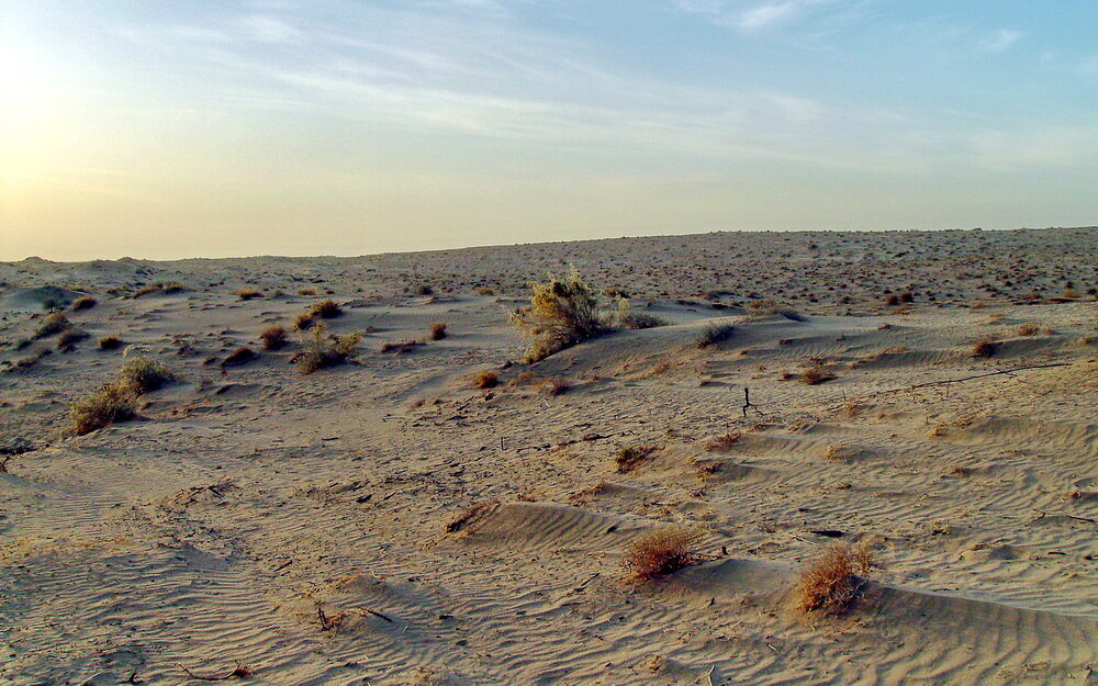 Пустыня. Фото автора