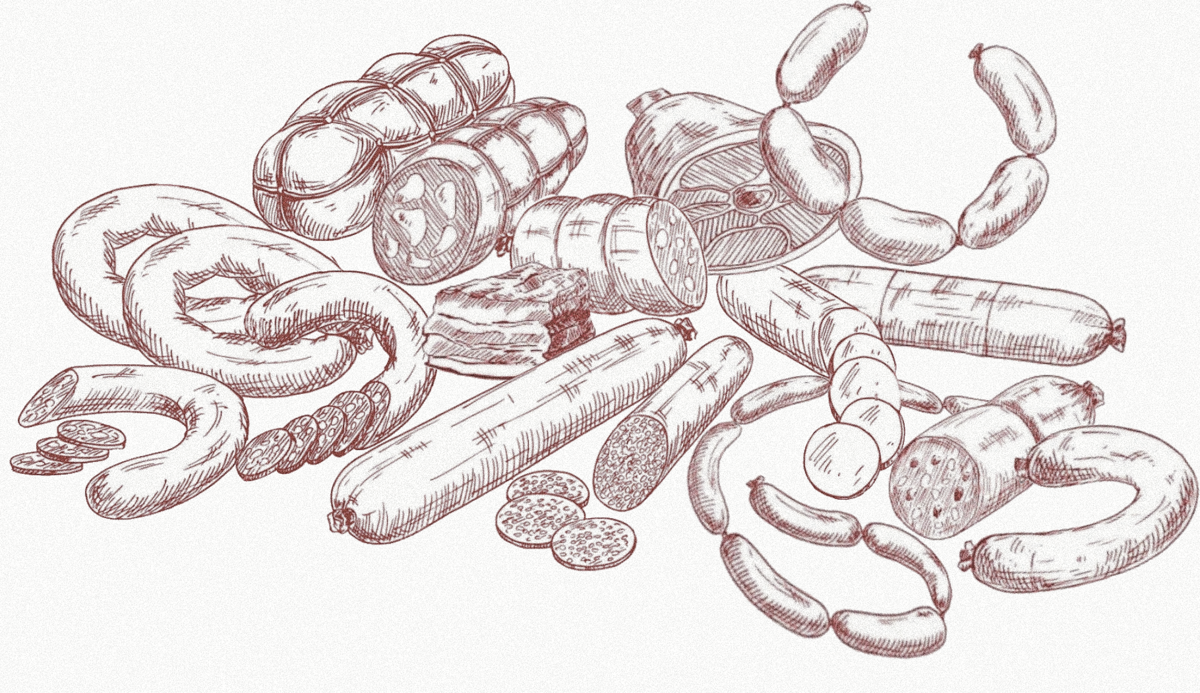 Иллюстрация Екатерины Ковалевской