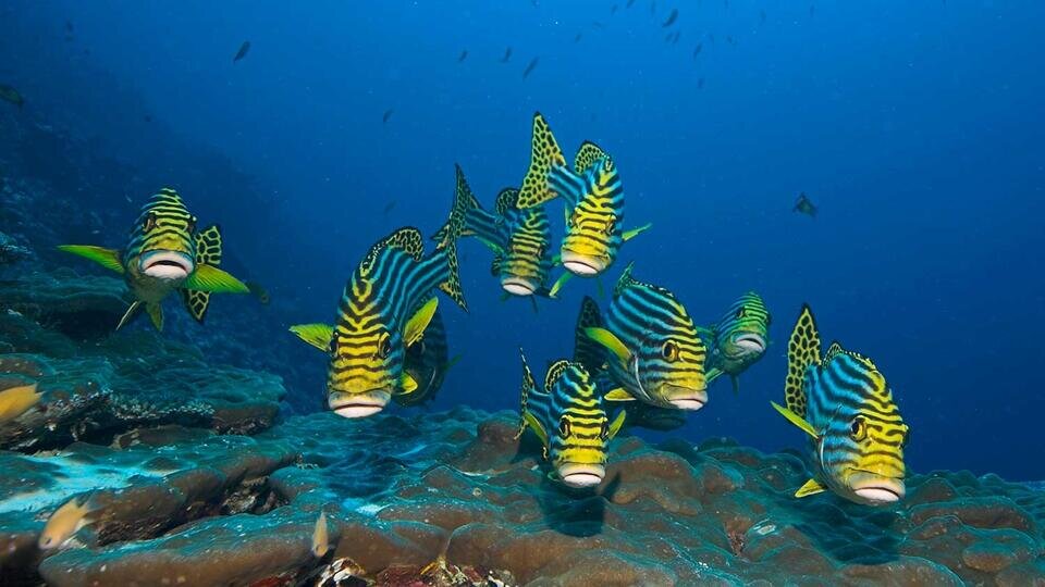 Фото: © Global Look Press/J.W.Alker/imagebroker.com