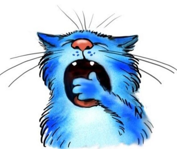 Раннее утро - крепкий сон