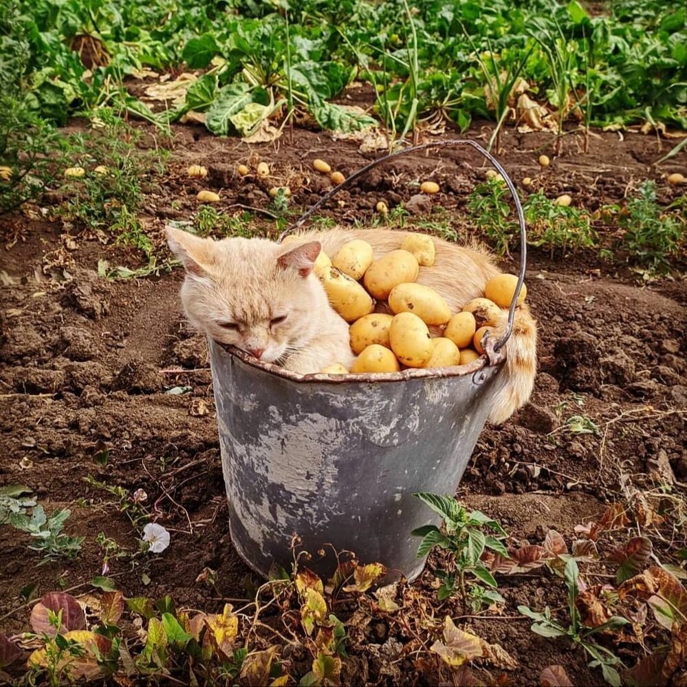 :  