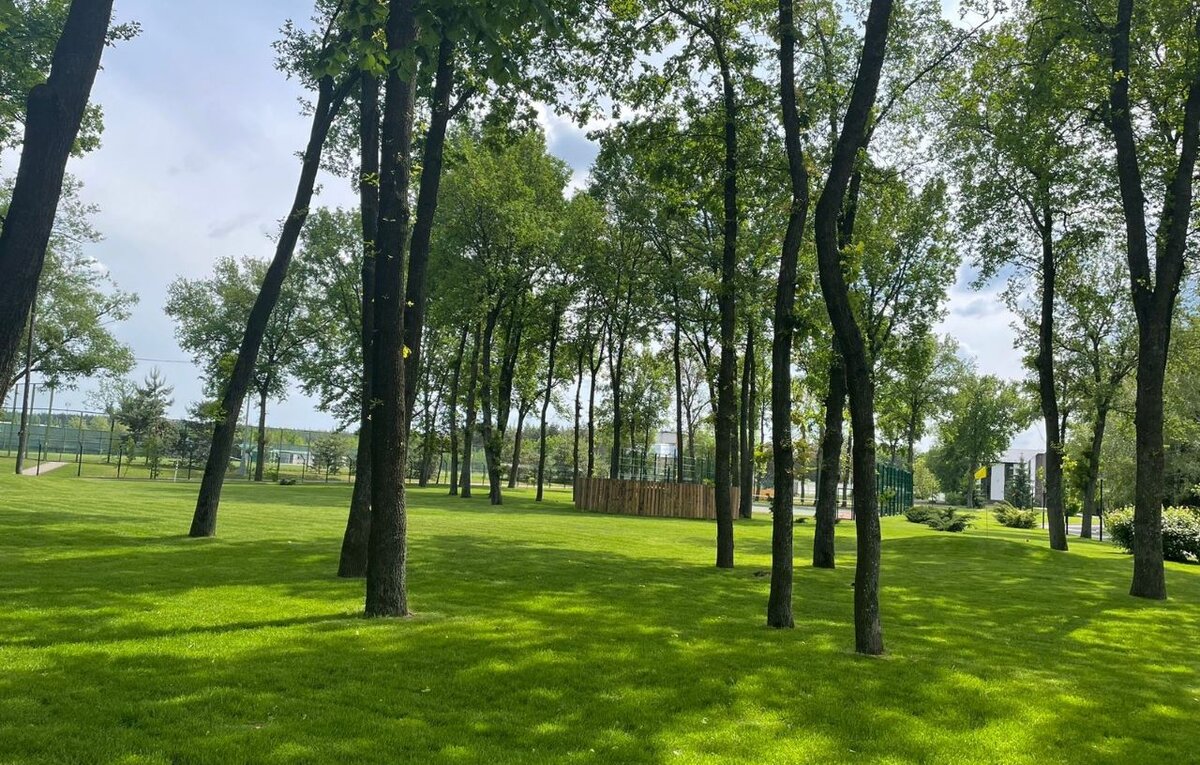    В Курской области 17 сентября прогнозируют до +23 градусов