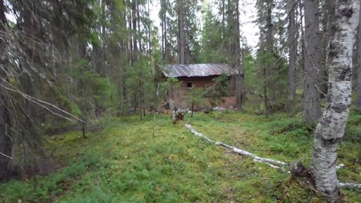 Изба в лесу построенная из бруса. Не поленились привезли стройматериалы.