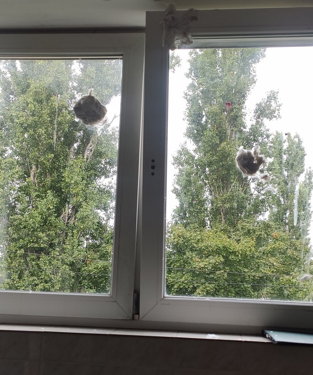 Источник фото: https://vk.com/wall-49097575_1486082