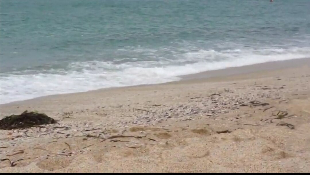 Мусор на пляже 