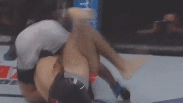 болевой приём года, Забит Магомедшарипов, боец мма, ufc