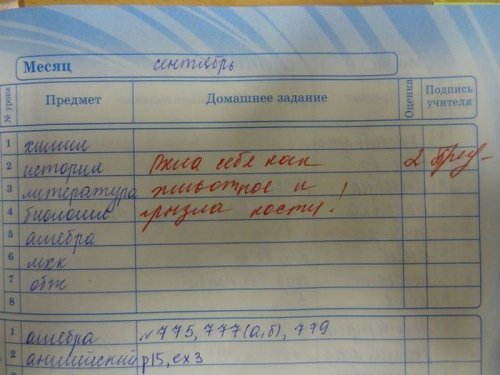 Детки проводят в школе половину своего дня. Не удивительно, что многие пытаются хоть как-то разнообразить это время! А теперь попробуйте представить себе класс, в котором ВСЕ ЭТО происходит одновременно! Я бы поучился там денек-другой! 