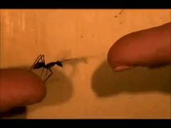 -3