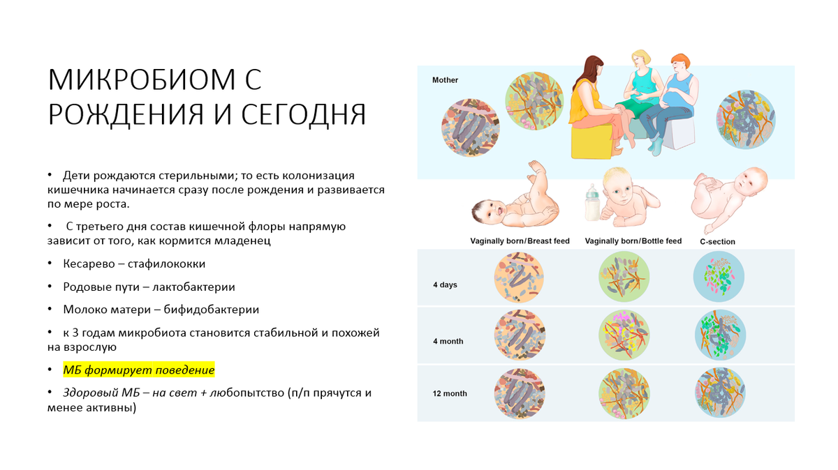 Микробиом. Формирование микробиома человека. Микробиом кишечника. Микробиом кишечника ребенка.