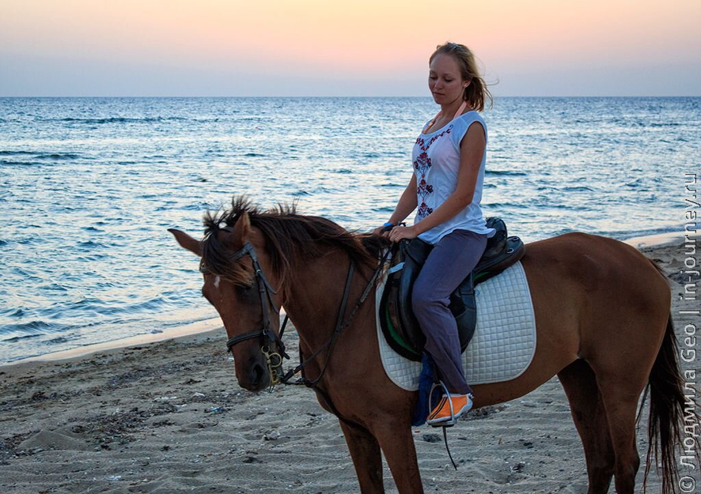 Journeying ru. Прогулка на лошадях Хургада. Конные прогулки с купанием. Прогулка на лошади по берегу моря Дубай. Катание на лошадях в Кемере около моря.
