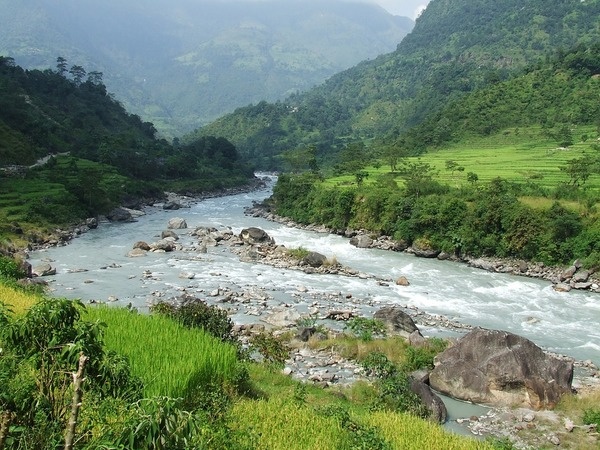 Непал. Заповедник Аннапурна. Источник:https://pixabay.com/photos/nepal-annapurna-trekking-forest-978330/