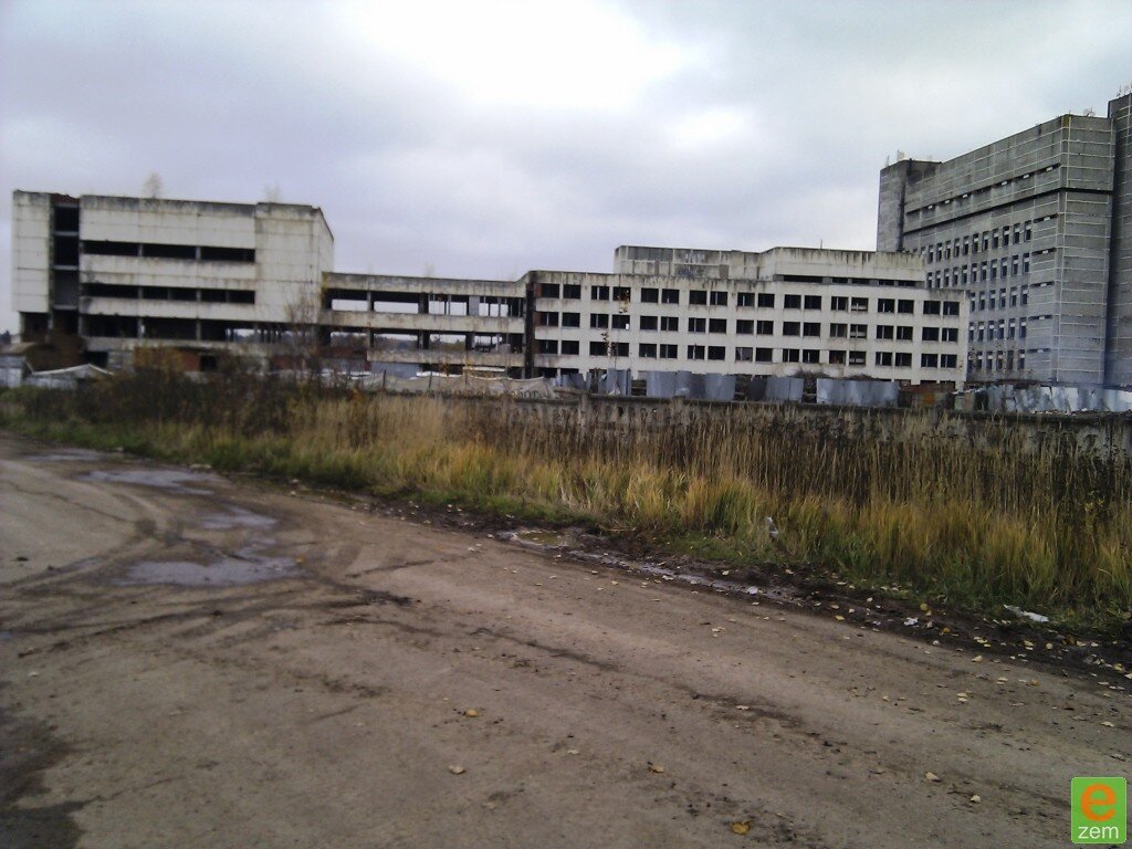 Фото взято в сети интернет. Яндекс картинки