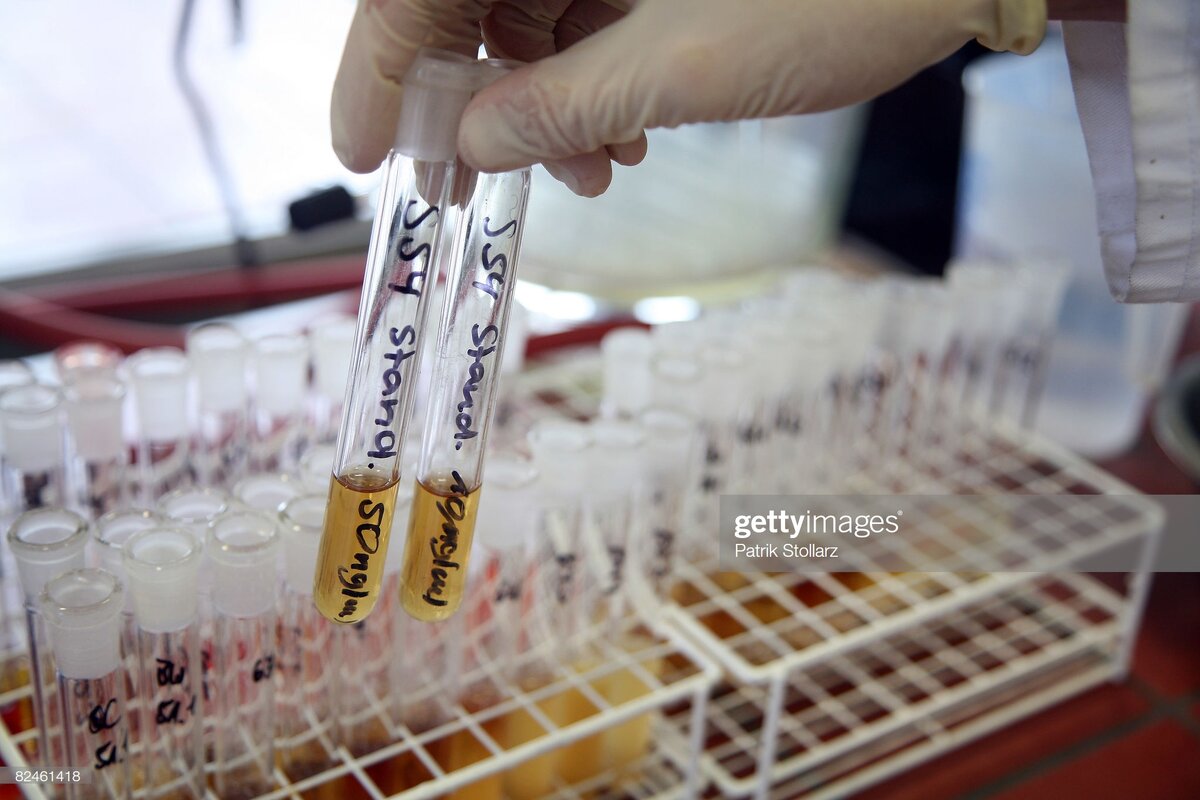 Лабораторные исследования gettyimages.com