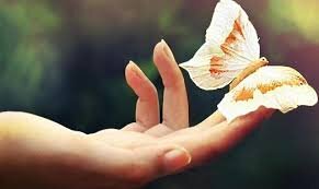 Изображение взято с свободного источника