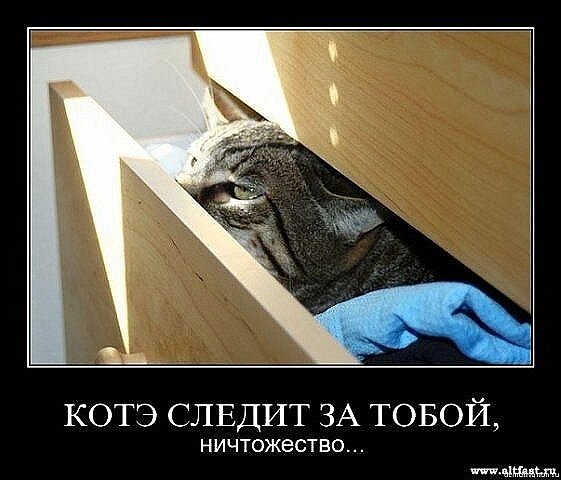 фото-из интернета