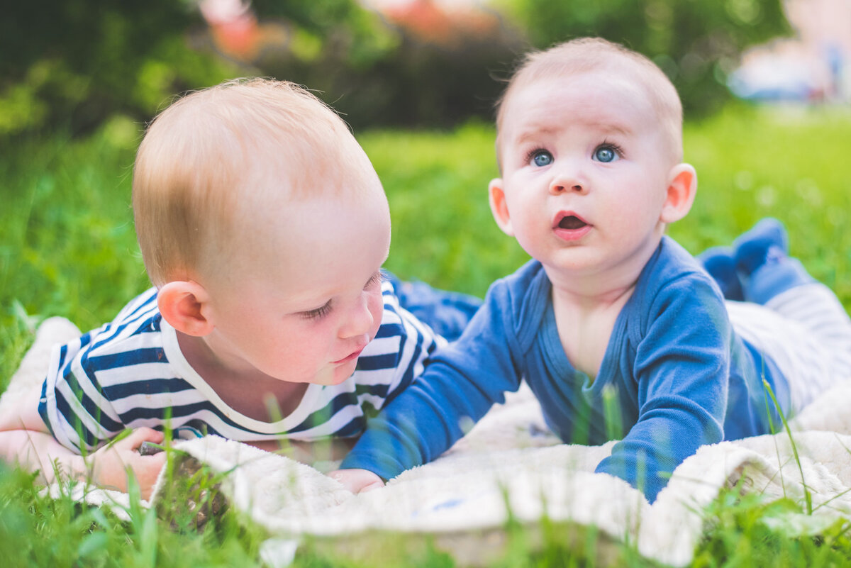 фото с сайта https://www.cinges.net/