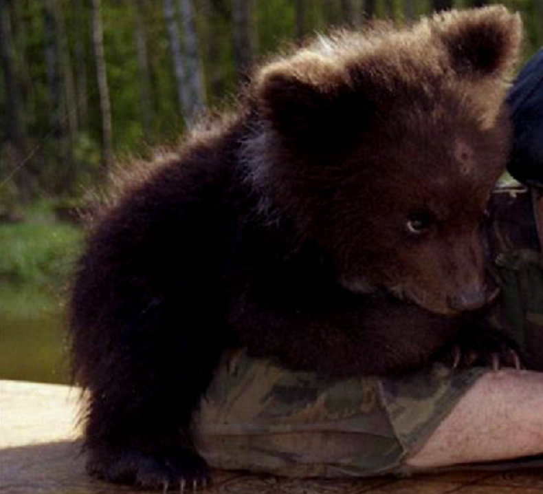 Фото из свободного доступа "Яндекс-картинки"