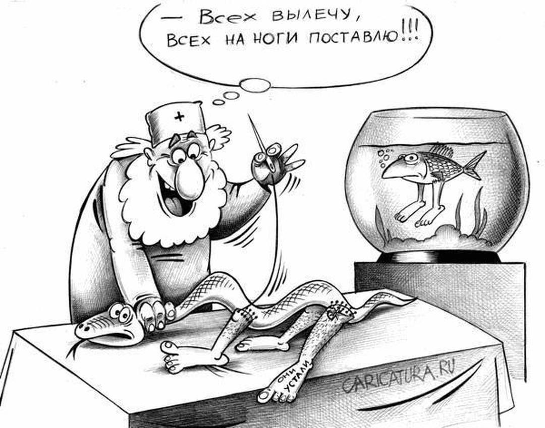 Айболит, версия, отличная от каноничной, но ближе к правде. С сайта www.caricatura.ru