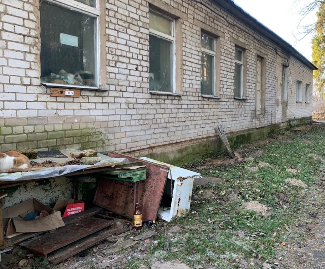 Вот так они жили