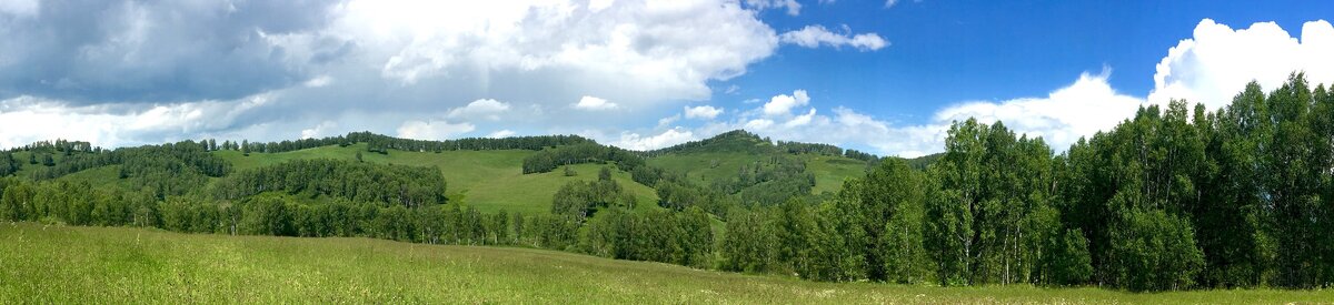 Алтайские Горные Луга