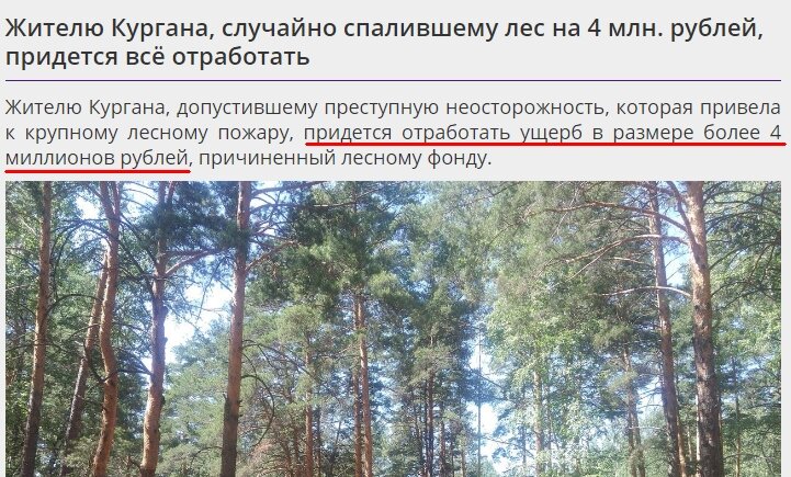 По материалам ИА Курган.ру 