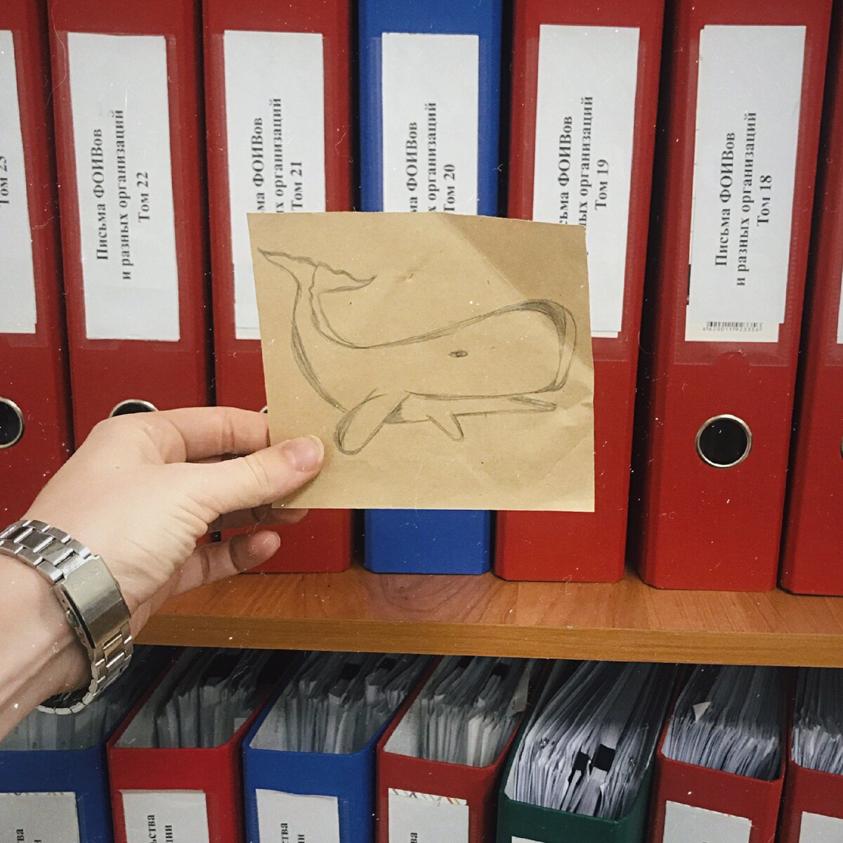 #запискиофисногопланктона 