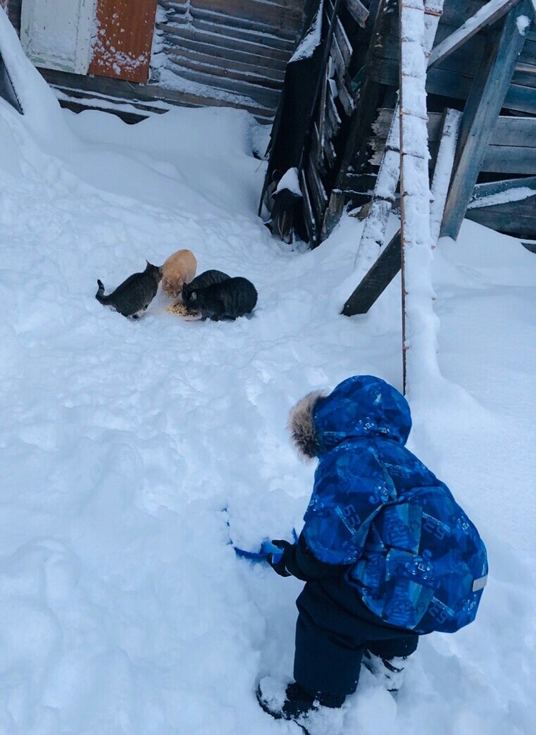 Фото автора истории. 