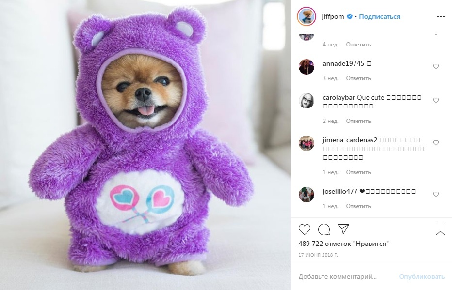 Фото с официального аккаунта Джиффа в Instagram