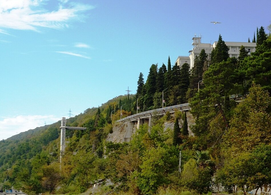 Чайка парит ещё выше смотровой площадки