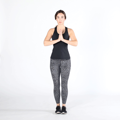 Махи ногами стоя