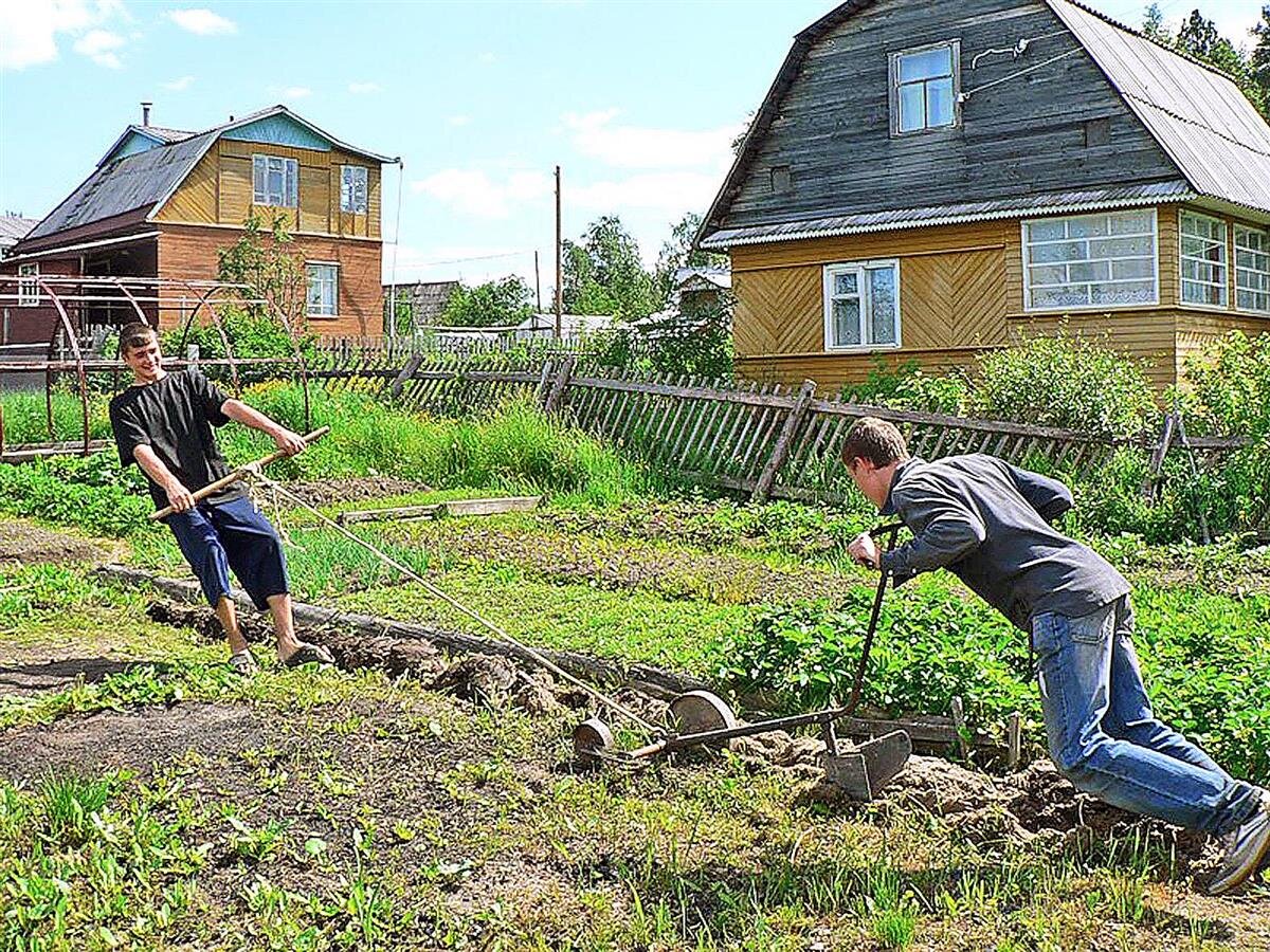 5 ПРИЧИН ЖИТЬ В ГОРОДЕ | Деревенский | Дзен