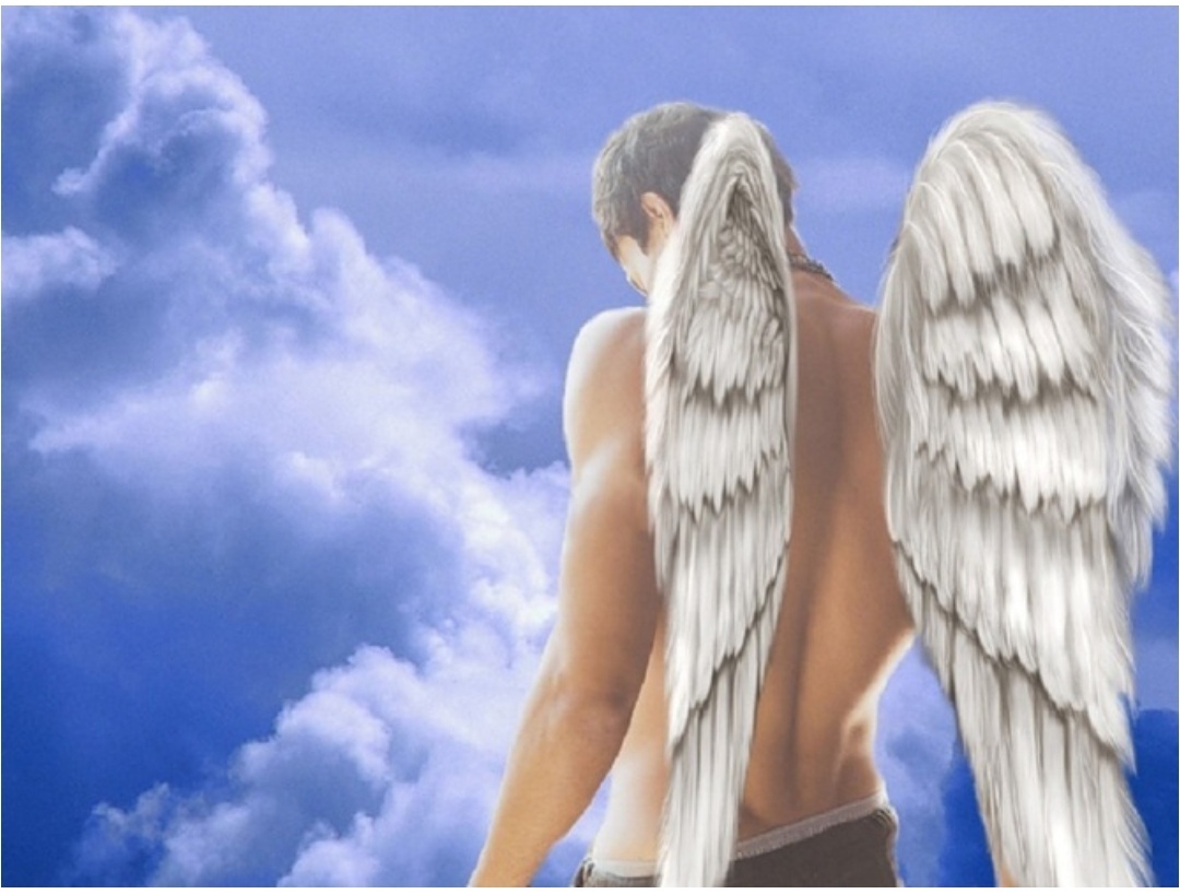 Фото взято из интернета