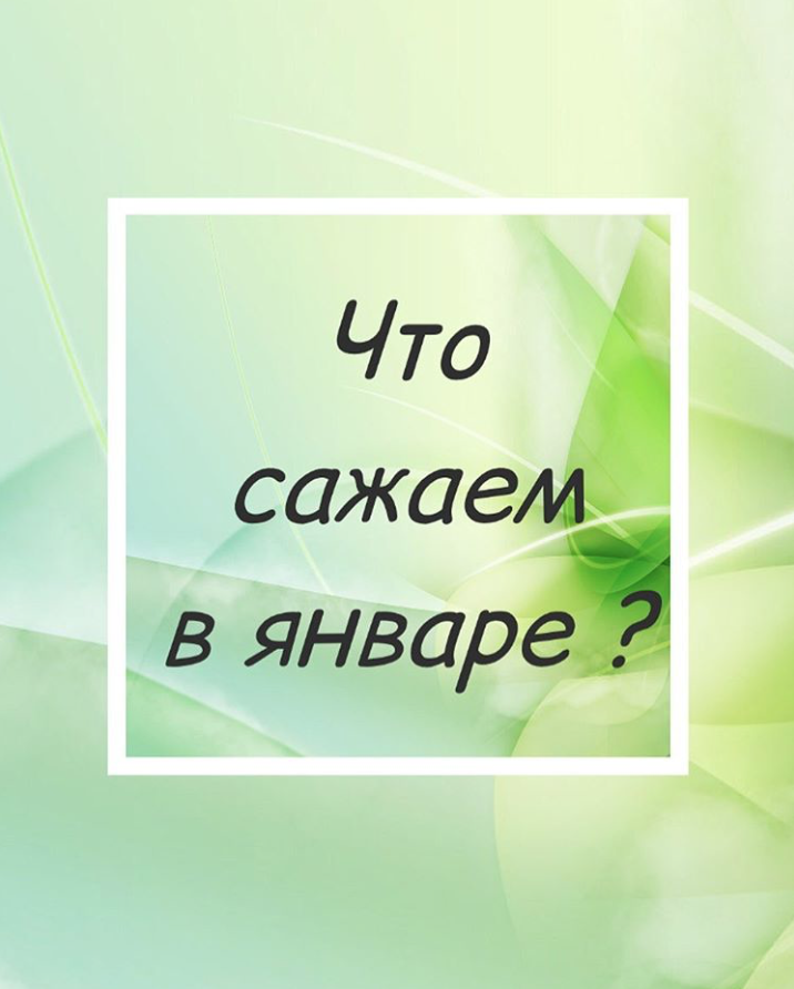Что сажаем в январе