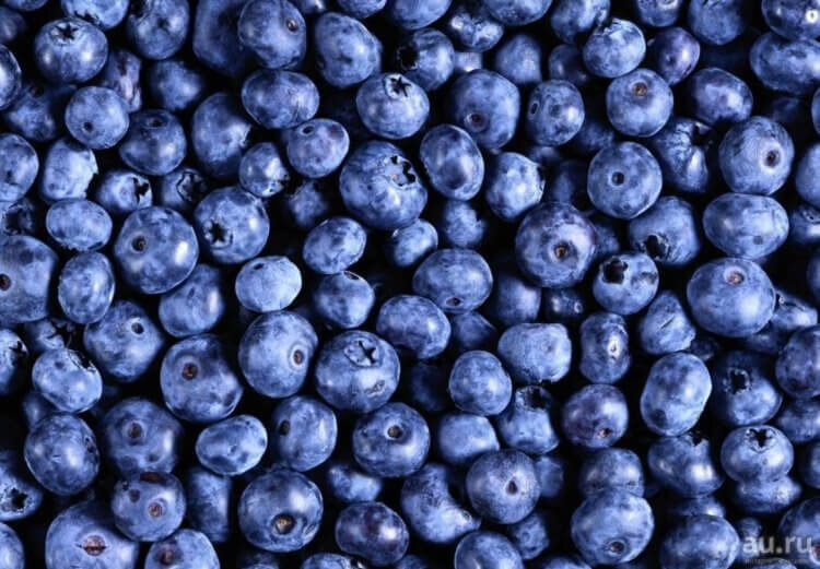 Ягоды черники очень богаты антиоксидантами