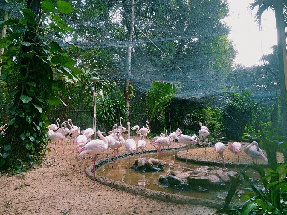 Soi Uthong Nai, Бангкок, Таиланд