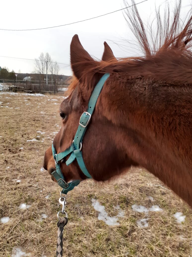 Гуша в профиль) 