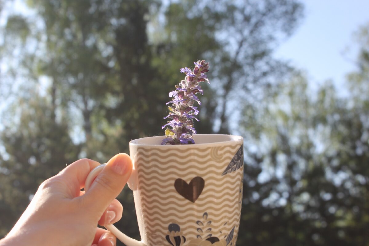 Фото автора | Весь день чаёк попиваю ))