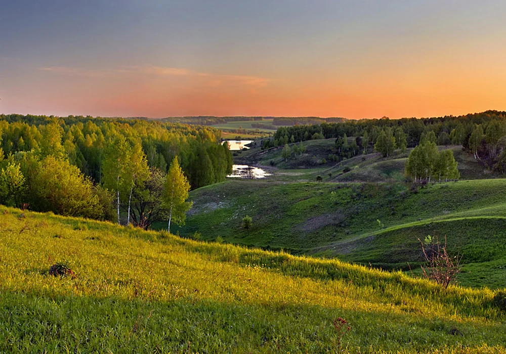 Холмы перелески луга и поля