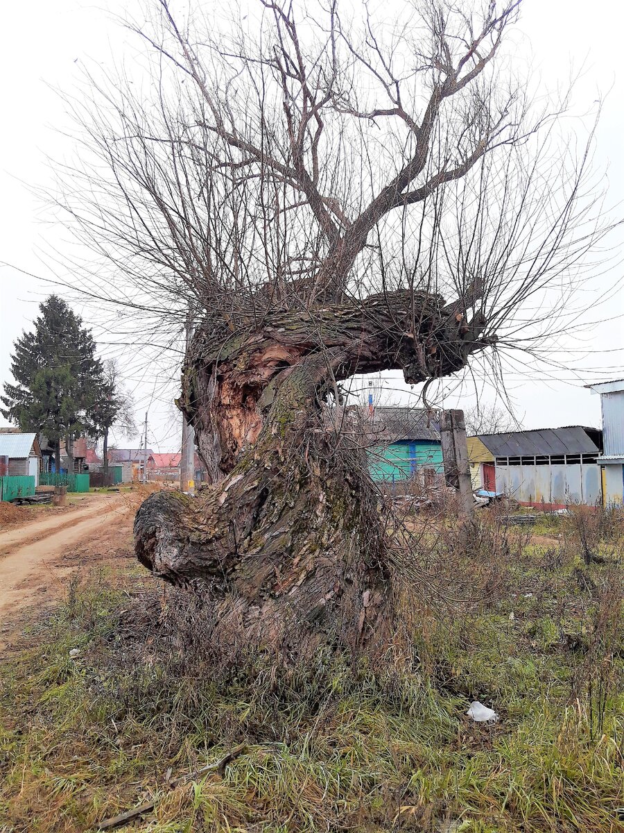 Заехали в старинное село Чувашии, рассказываю, что увидели на улице и почему его жителей называли шоршулы