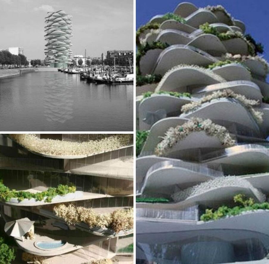 Фото из открытых источников