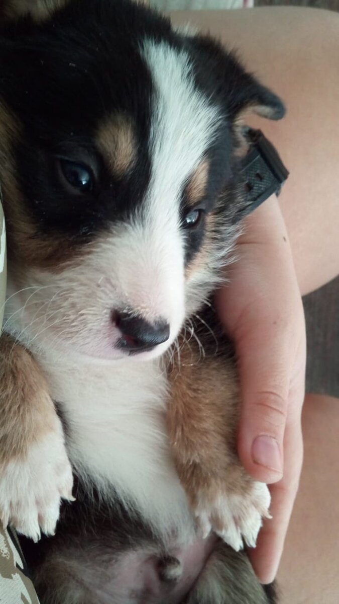 Вот таким Джес был. Ответьте мне, кем надо быть, чтоб над ним издеваться?