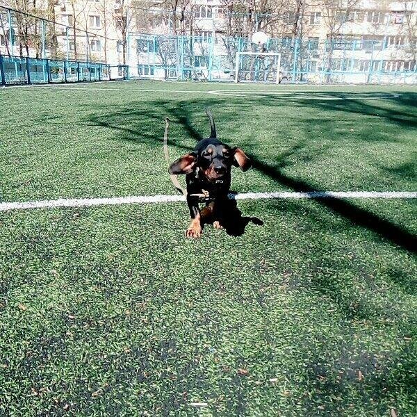 Из личного архива