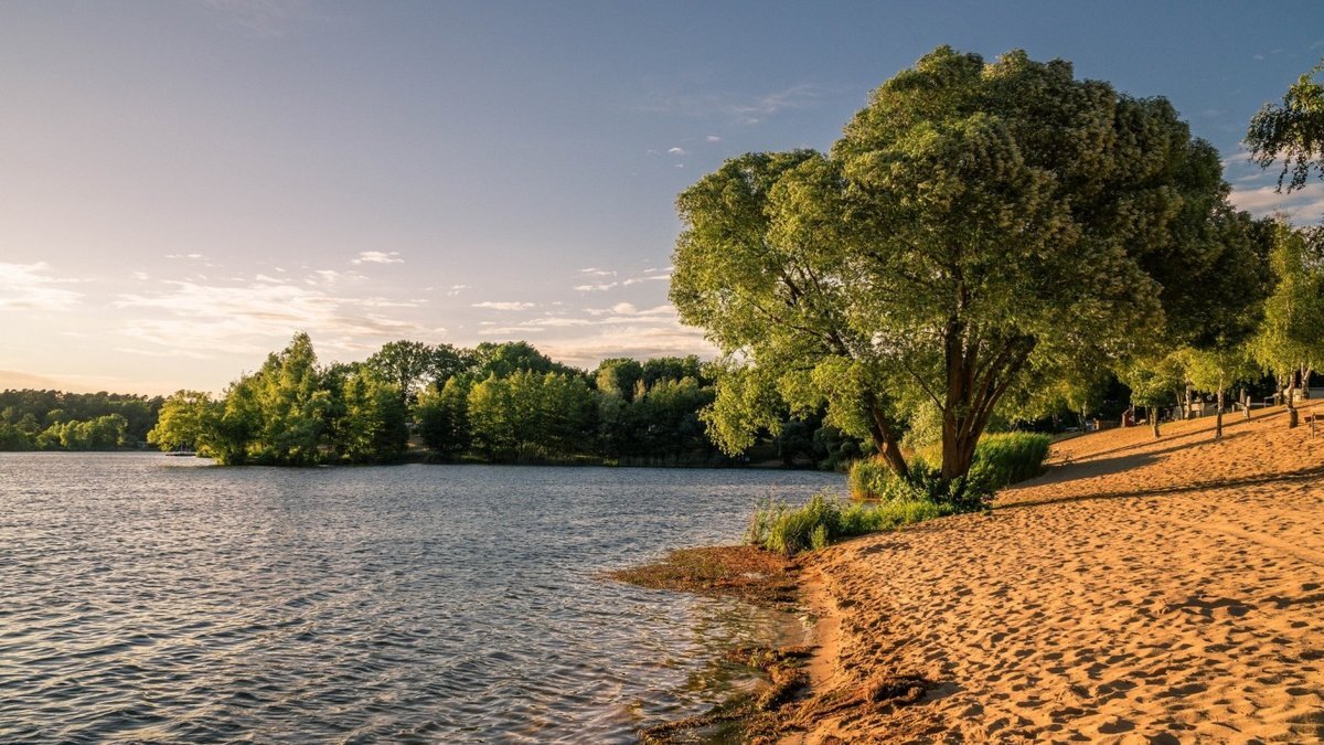   На речке два Сергея весело бросали камешки в воду. - А как зовут твою маму? - Ира. - Сколько тебе лет?  - Шесть. - Кем работает твой папа? - Мой папа за границей, он,  очень тайный агент.