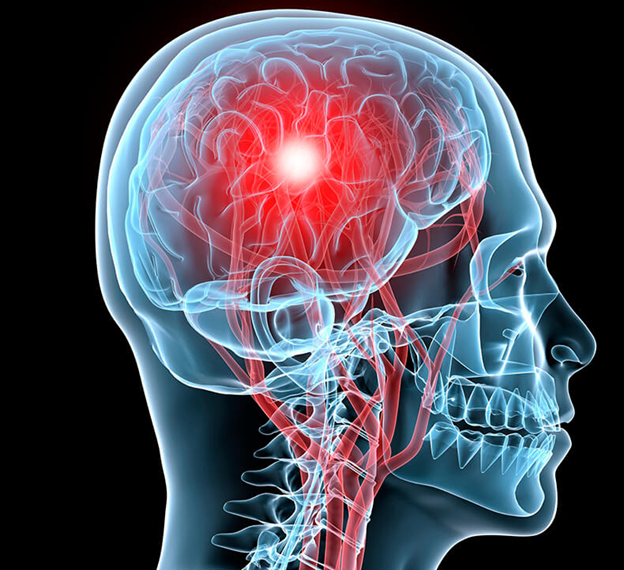 фото из Яндекса