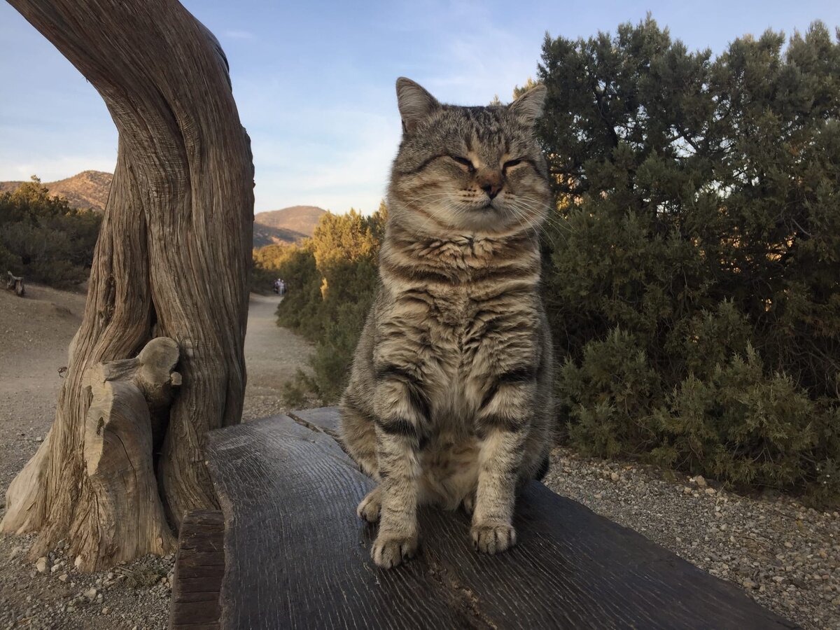 Некуда спешить