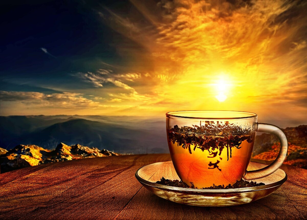 Особенностью травяных чаев является то, что они не содержат кофеин, но вместе с тем обладают множеством полезных свойств.